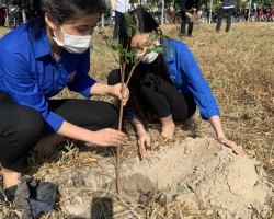 Tết trồng cây tại trường Trung cấp nghề Cam Lâm